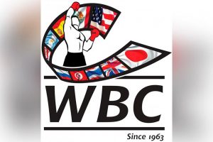 Казахстанские боксеры улучшили свое положение в рейтинге WBC